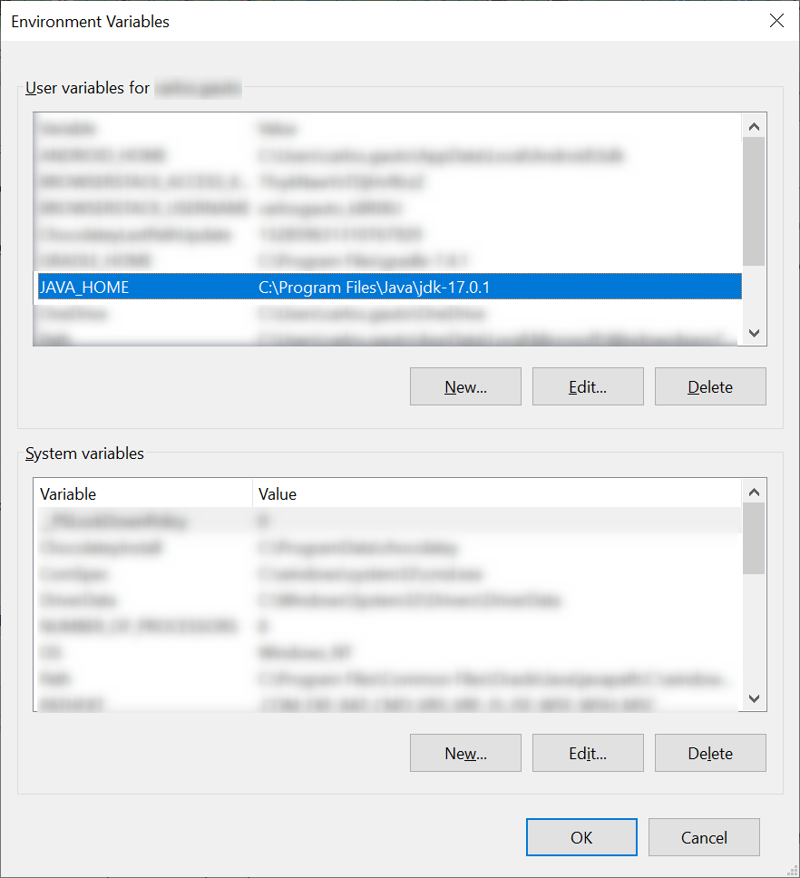 environment variables